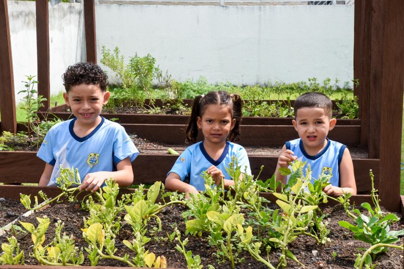 Projeto Sustentáveis no UEI Paulo Fernandes no conjunto Geraldo Palmeiras