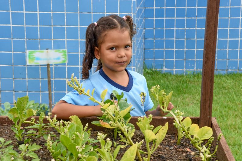 Projeto Sustentáveis no UEI Paulo Fernandes no conjunto Geraldo Palmeiras