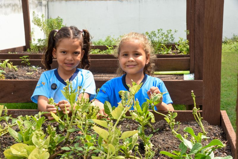 Projeto Sustentáveis no UEI Paulo Fernandes no conjunto Geraldo Palmeiras