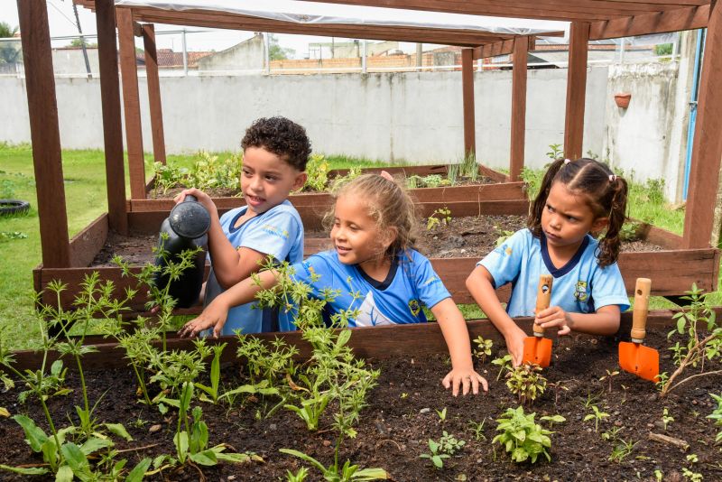 Projeto Sustentáveis no UEI Paulo Fernandes no conjunto Geraldo Palmeiras