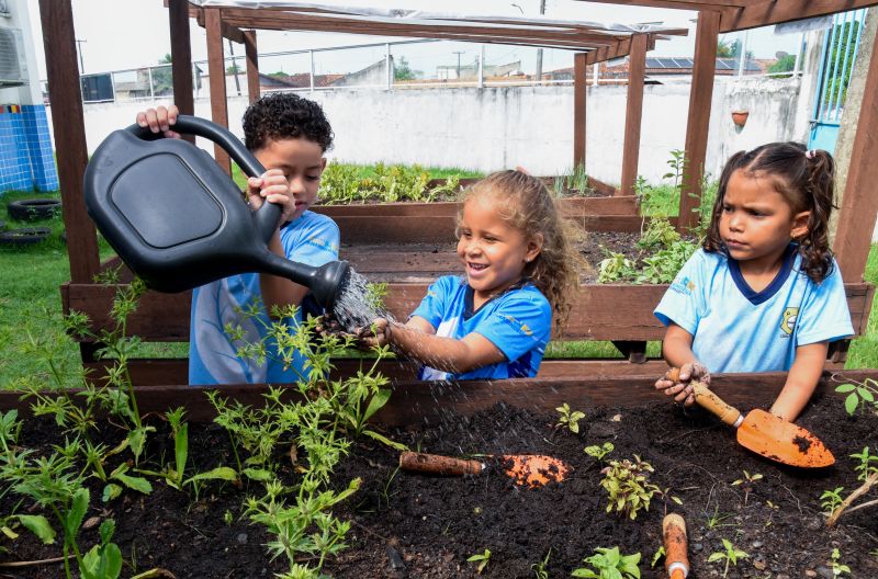 Projeto Sustentáveis no UEI Paulo Fernandes no conjunto Geraldo Palmeiras