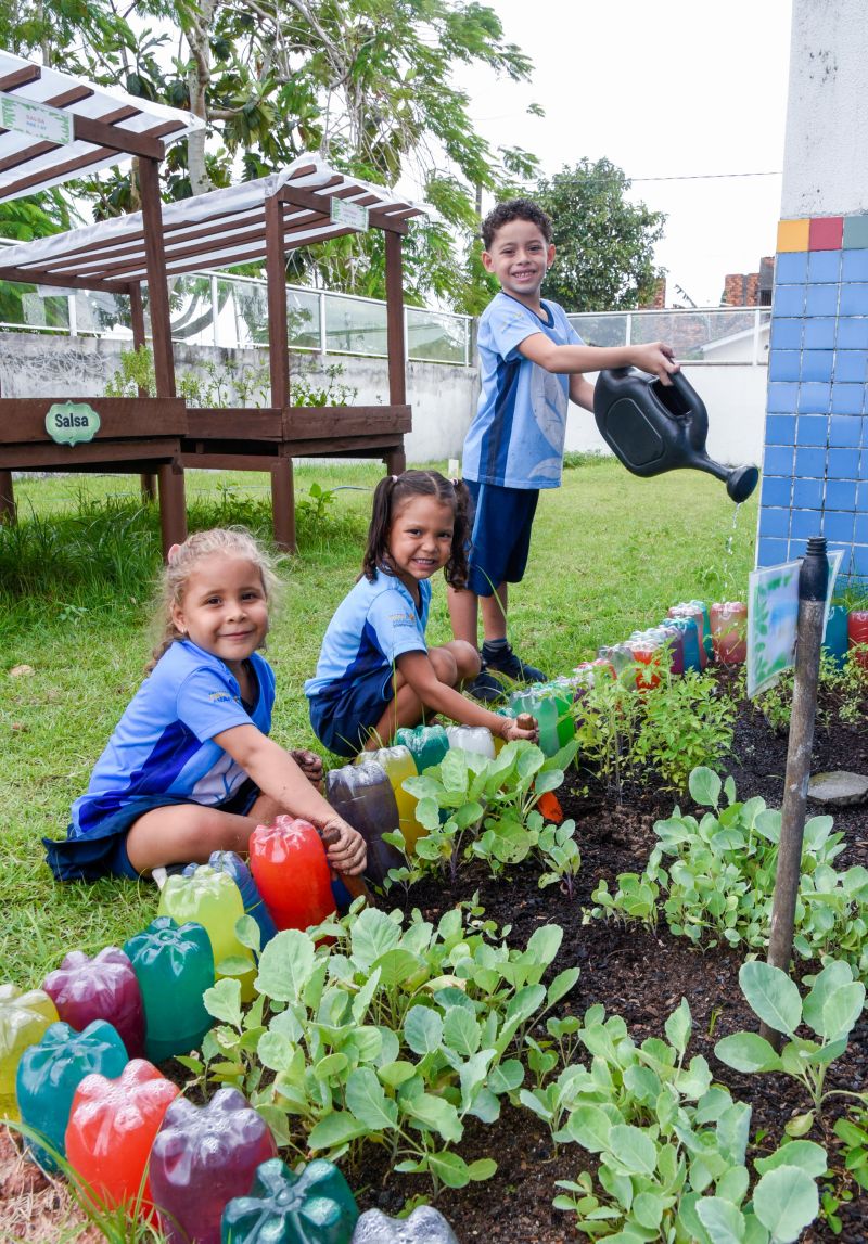 Projeto Sustentáveis no UEI Paulo Fernandes no conjunto Geraldo Palmeiras