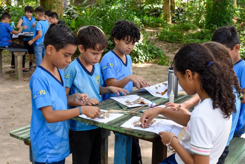 Atividades alusiva ao Dia da Árvore no parque Seringal