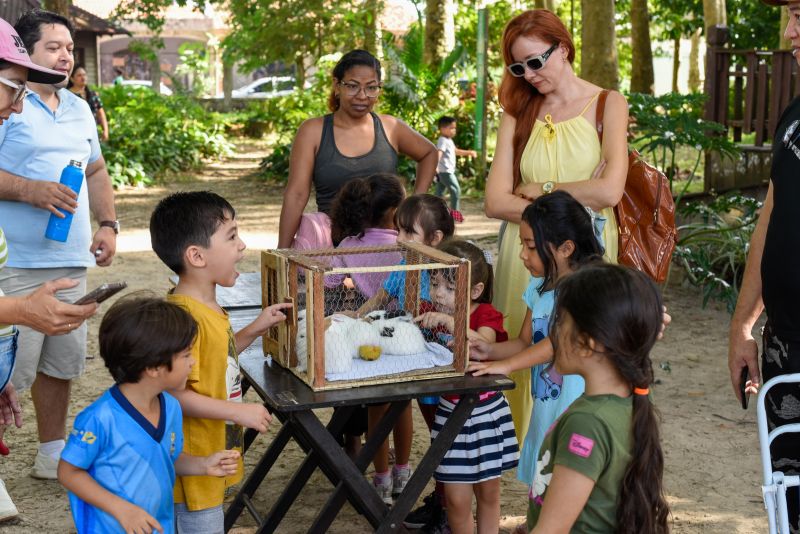 Atividades alusiva ao Dia da Árvore no parque Seringal