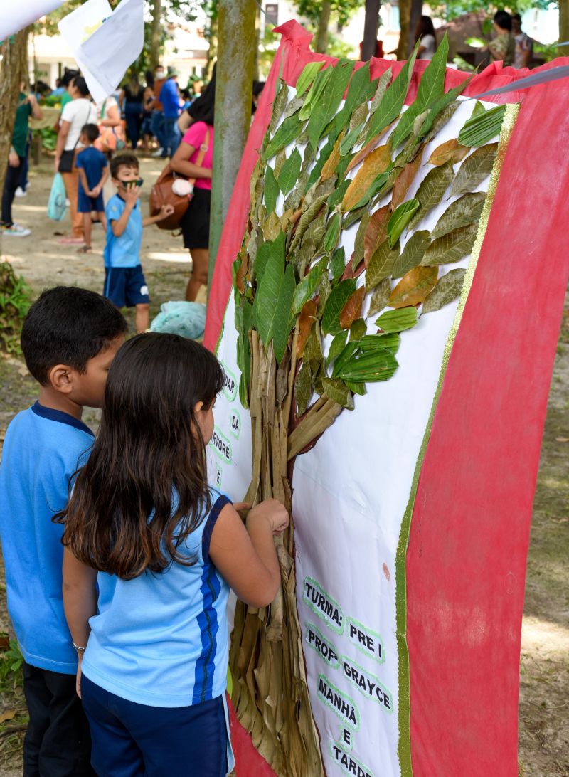 Atividades alusiva ao Dia da Árvore no parque Seringal