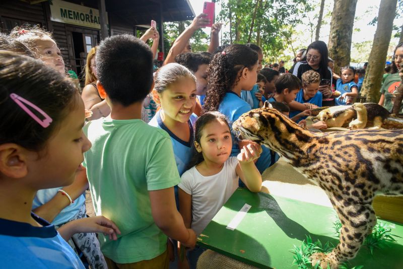 Atividades alusiva ao Dia da Árvore no parque Seringal