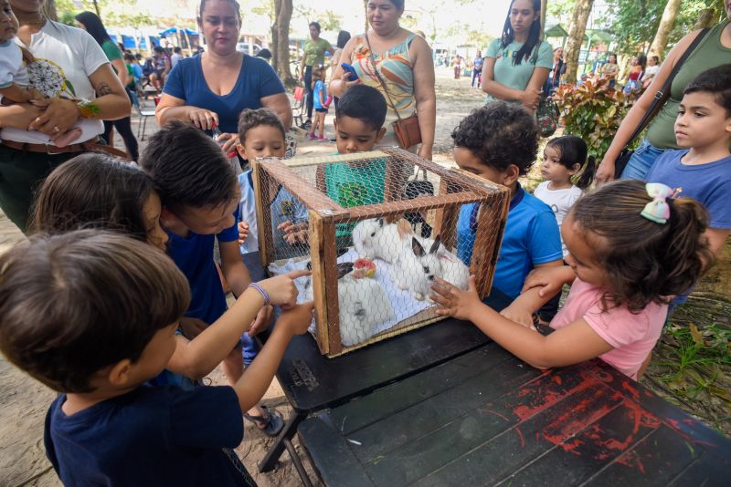 Atividades alusiva ao Dia da Árvore no parque Seringal