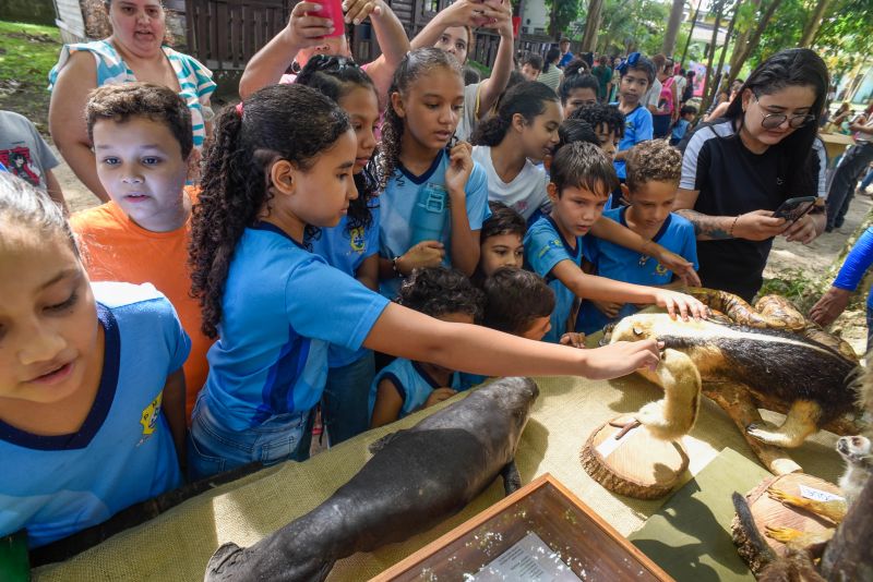 Atividades alusiva ao Dia da Árvore no parque Seringal