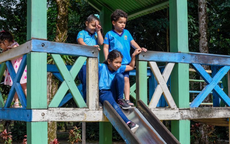 Atividades alusiva ao Dia da Árvore no parque Seringal