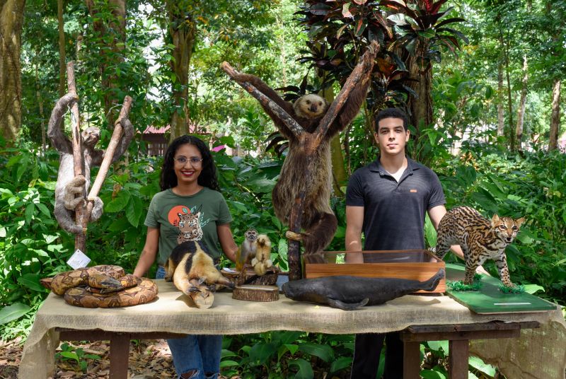 Atividades alusiva ao Dia da Árvore no parque Seringal