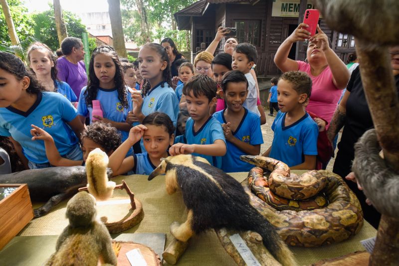 Atividades alusiva ao Dia da Árvore no parque Seringal