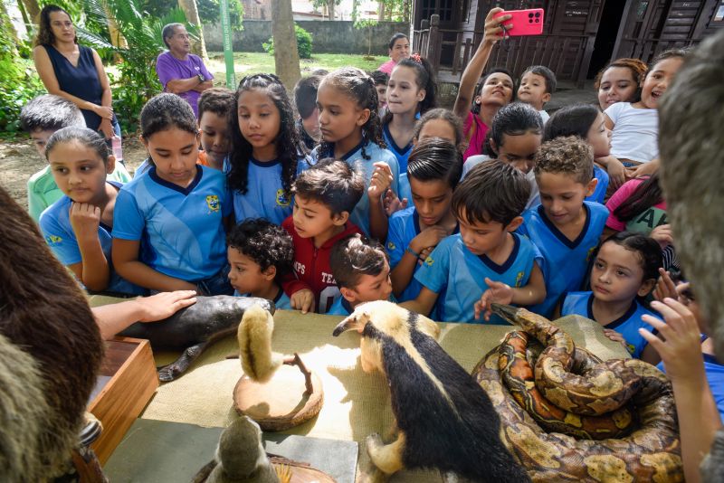 Atividades alusiva ao Dia da Árvore no parque Seringal