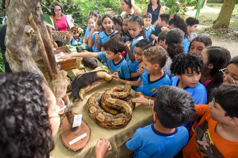 Atividades alusiva ao Dia da Árvore no parque Seringal
