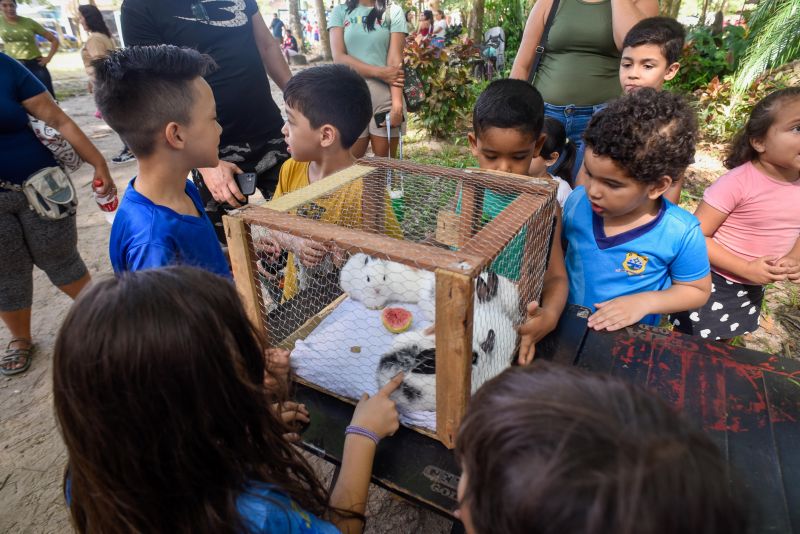 Atividades alusiva ao Dia da Árvore no parque Seringal