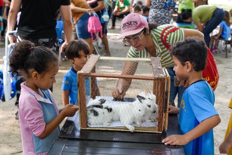 Atividades alusiva ao Dia da Árvore no parque Seringal