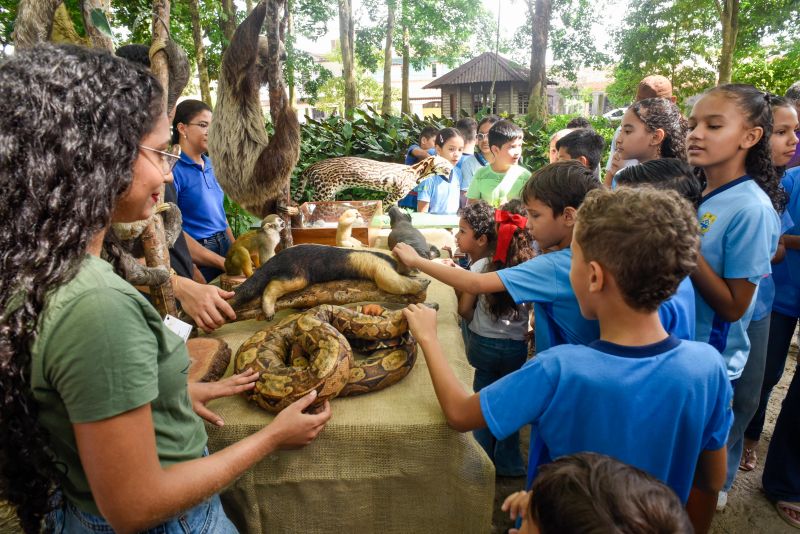 Atividades alusiva ao Dia da Árvore no parque Seringal