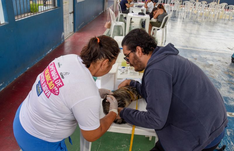 Programa Vet Ananin na Praça São Francisco de Assis na Cidade Nova Il
