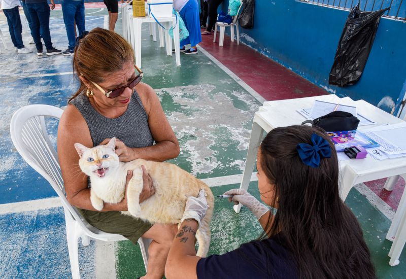 Programa Vet Ananin na Praça São Francisco de Assis na Cidade Nova Il
