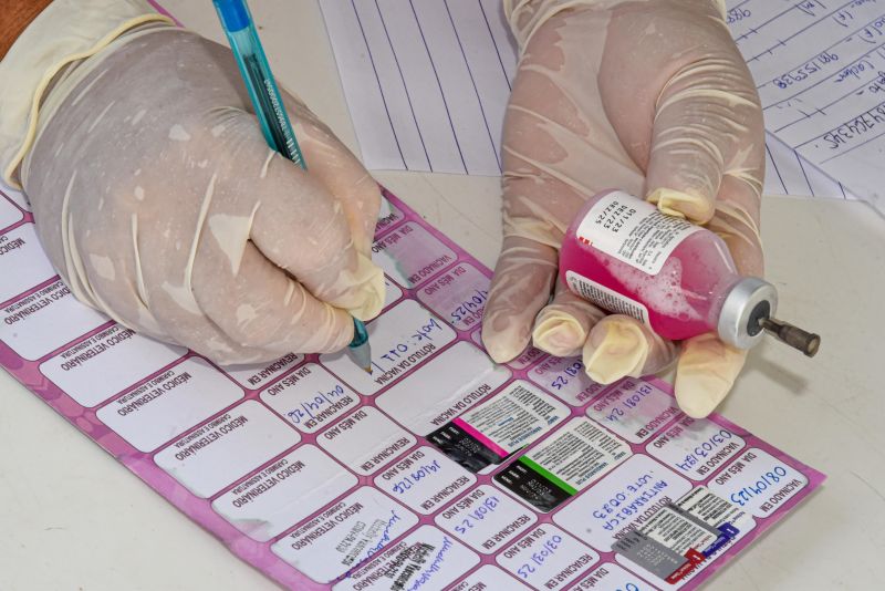 Programa Vet Ananin na Praça São Francisco de Assis na Cidade Nova Il