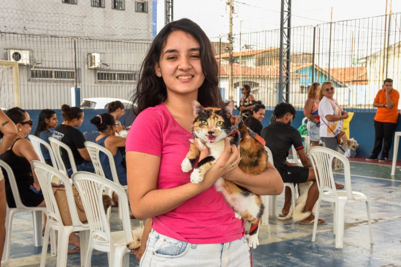 Programa Vet Ananin na Praça São Francisco de Assis na Cidade Nova Il