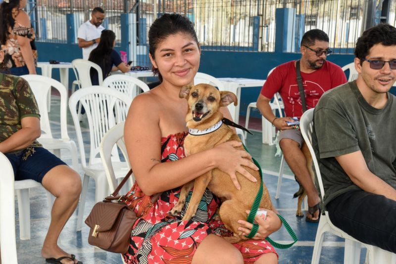 Programa Vet Ananin na Praça São Francisco de Assis na Cidade Nova Il