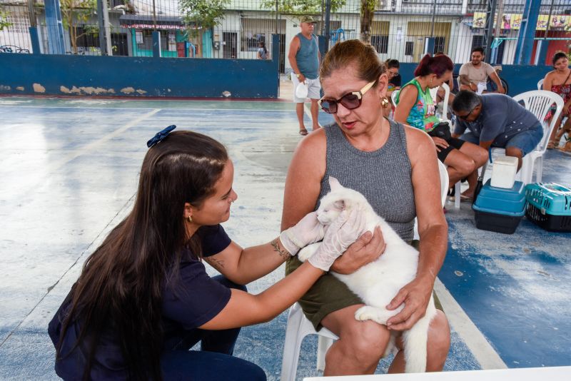 Programa Vet Ananin na Praça São Francisco de Assis na Cidade Nova Il