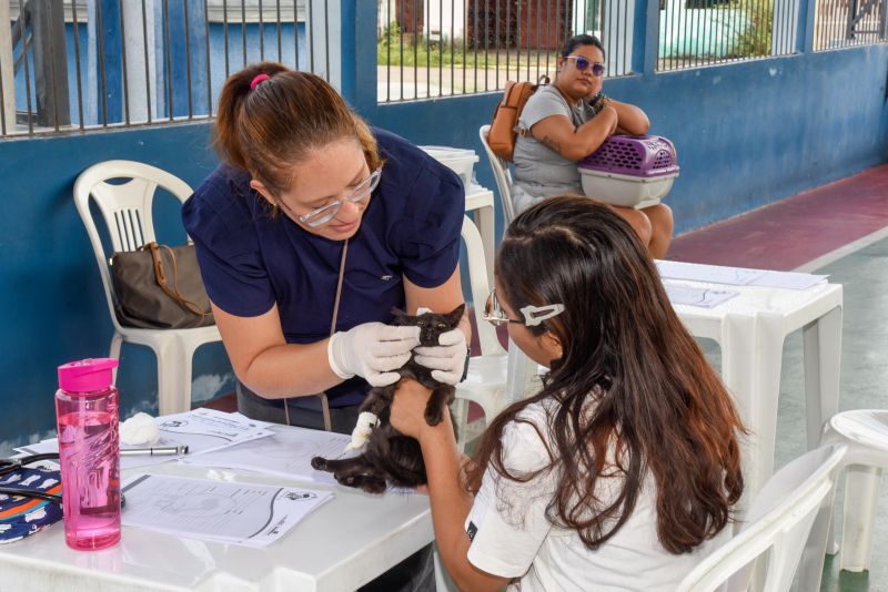 Programa Vet Ananin na Praça São Francisco de Assis na Cidade Nova Il
