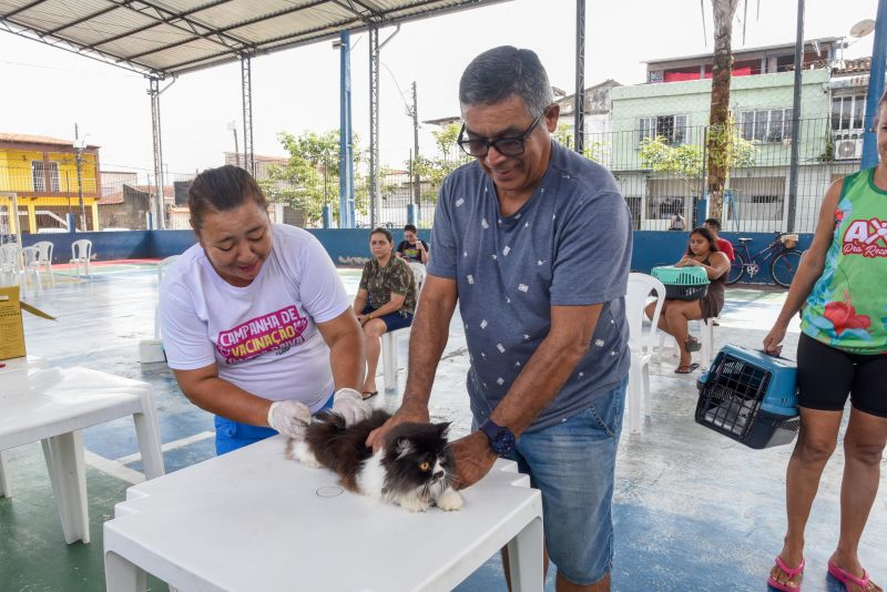 Programa Vet Ananin na Praça São Francisco de Assis na Cidade Nova Il