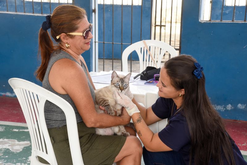 Programa Vet Ananin na Praça São Francisco de Assis na Cidade Nova Il