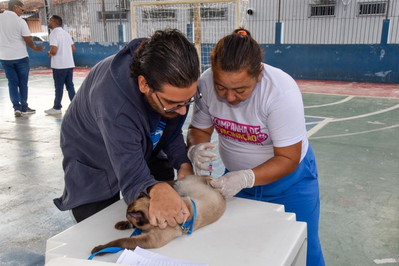 Programa Vet Ananin na Praça São Francisco de Assis na Cidade Nova Il