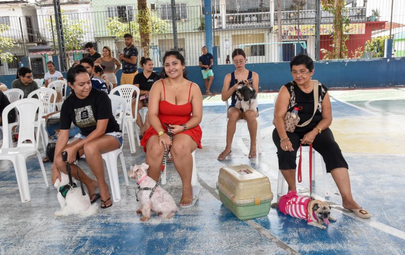 Programa Vet Ananin na Praça São Francisco de Assis na Cidade Nova Il