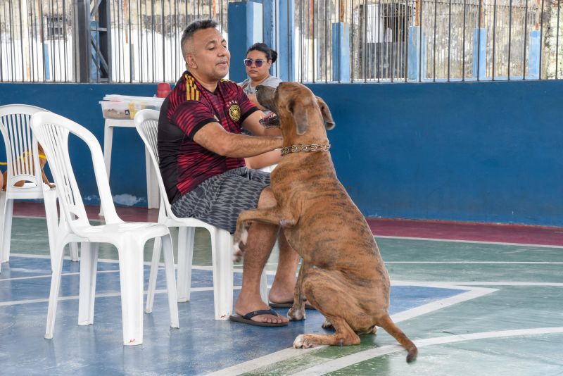 Programa Vet Ananin na Praça São Francisco de Assis na Cidade Nova Il