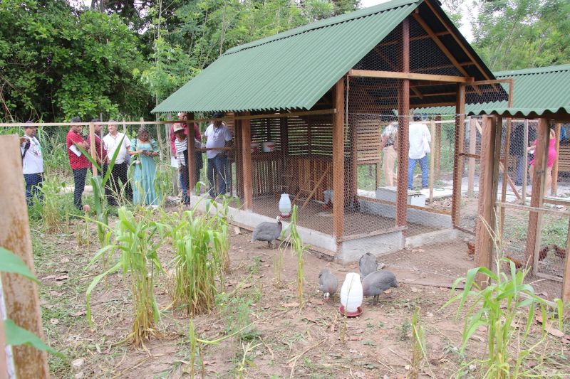 Visita técnica ao sisteminha na Embrapa