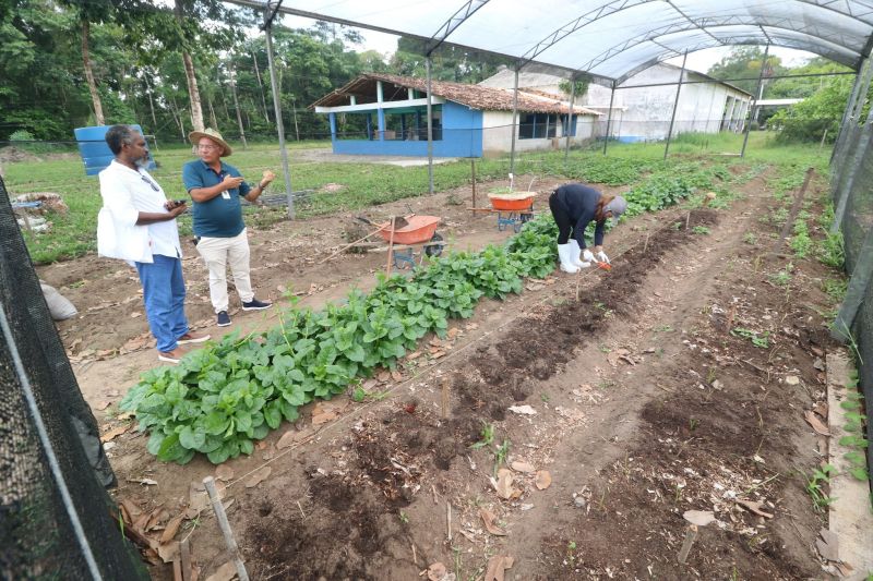 Visita técnica ao sisteminha na Embrapa