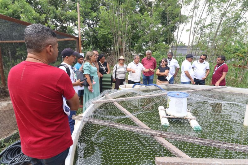 Visita técnica ao sisteminha na Embrapa