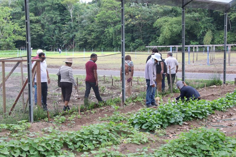 Visita técnica ao sisteminha na Embrapa