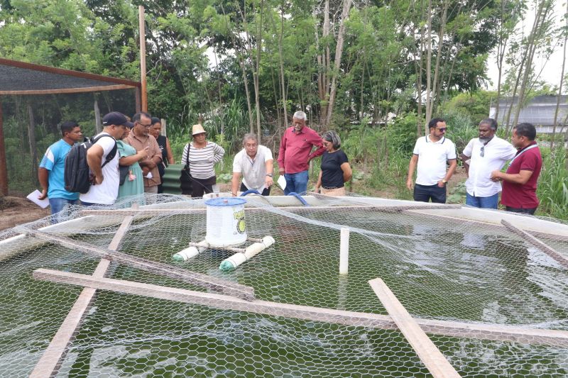 Visita técnica ao sisteminha na Embrapa