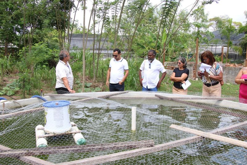 Visita técnica ao sisteminha na Embrapa