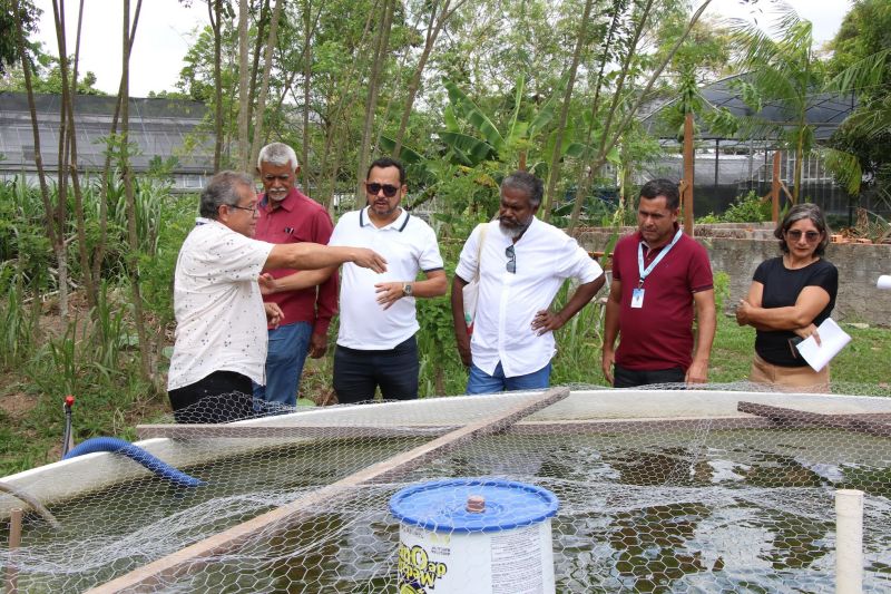 Visita técnica ao sisteminha na Embrapa