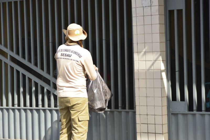 Ação contra Dengue, Zika e Chikungunya