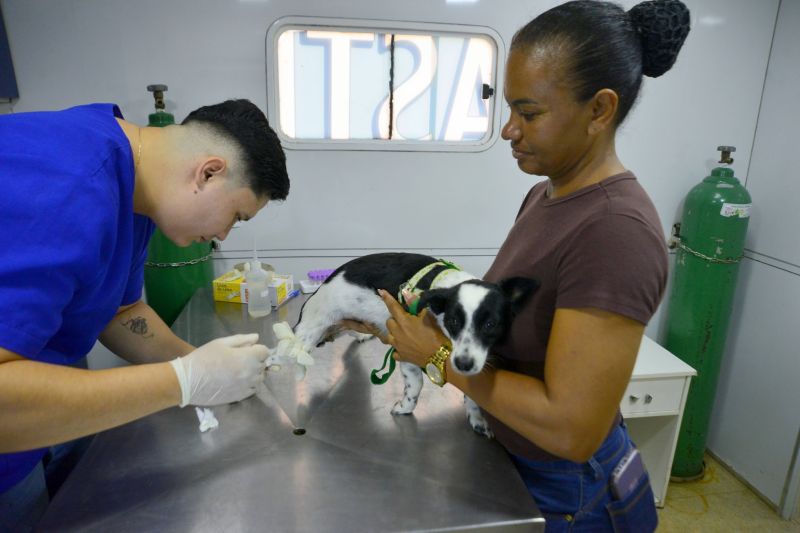 Castramóvel no conjunto residencial Jardim Tropical