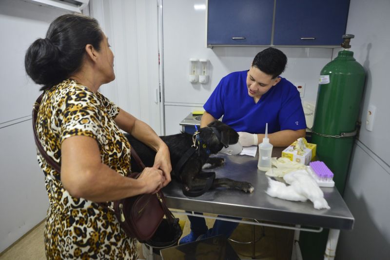 Castramóvel no conjunto residencial Jardim Tropical