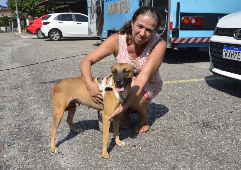 Castramóvel no conjunto residencial Jardim Tropical