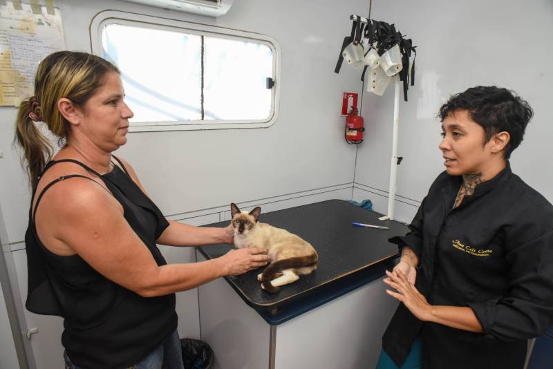 Consulta para atestar a saúde dos animais.