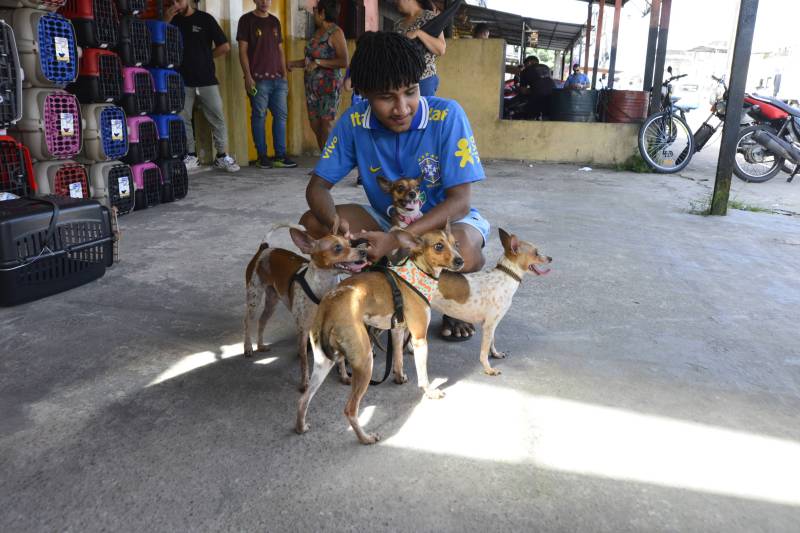 Muitos tutores procuraram a vacina para seus pets.