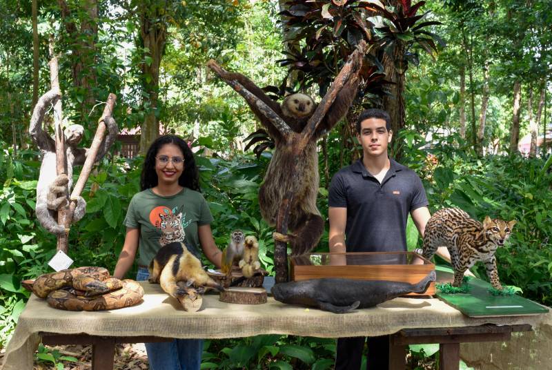 Exposição de taxidermia da UFRA.