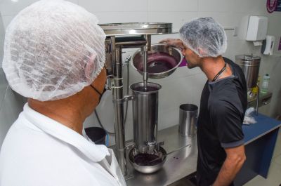 galeria: Imagens da capacitação para batedores de açaí de Ananindeua
