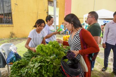 notícia: Prefeitura em Movimento leva cidadania e muitos serviços gratuitos ao coração do Paar