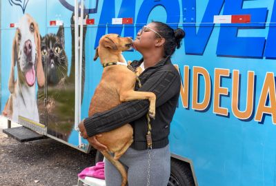 notícia: Castramóvel leva serviços para comunidade no Icuí-Guajará