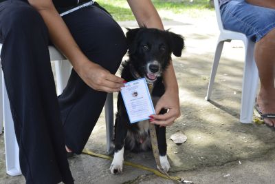 notícia: Programa “Vet Ananin” leva serviços de saúde para animais do bairro do Icuí-Laranjeira